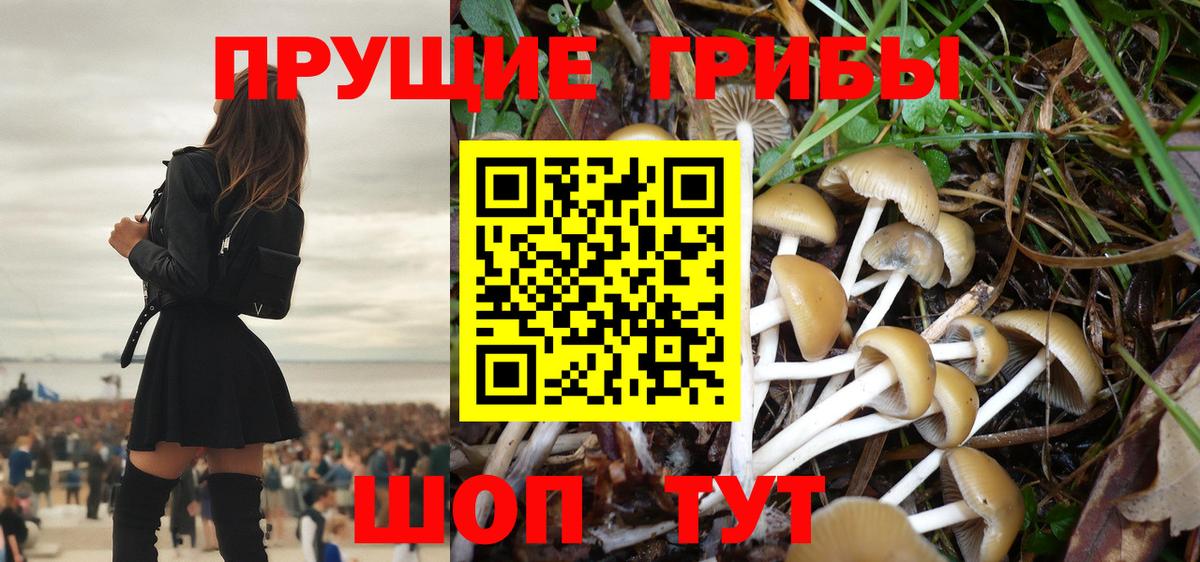 Псилоцибиновые грибы Psilocybine cubensis  Вход с VPN  Галлюциногенные грибы GOLDEN TEACHER  как найти закладки  Азнакаево 