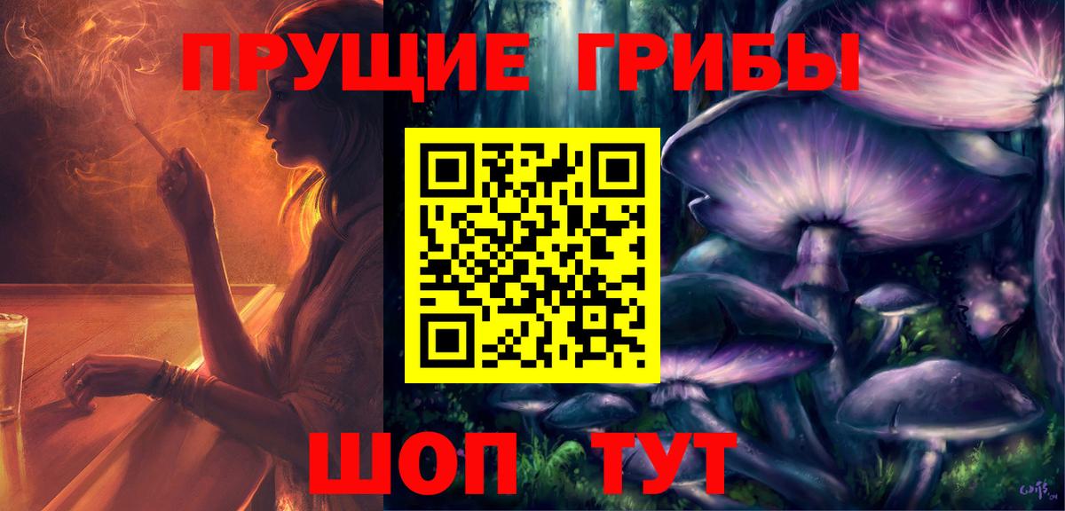 Галлюциногенные грибы Psilocybine cubensis Азнакаево